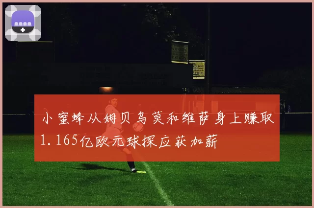 小蜜蜂从姆贝乌莫和维萨身上赚取1.165亿欧元球探应获加薪